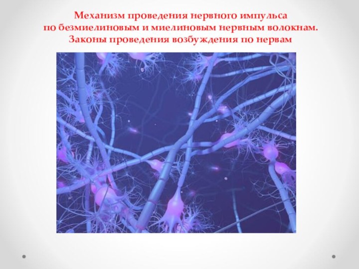 Механизм проведения нервного импульса по безмиелиновым и миелиновым нервным волокнам. Законы проведения возбуждения по нервам