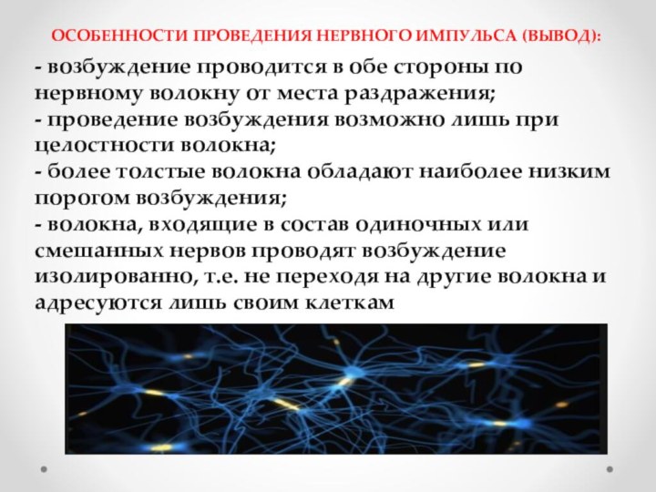 - возбуждение проводится в обе стороны по нервному волокну от места раздражения;-