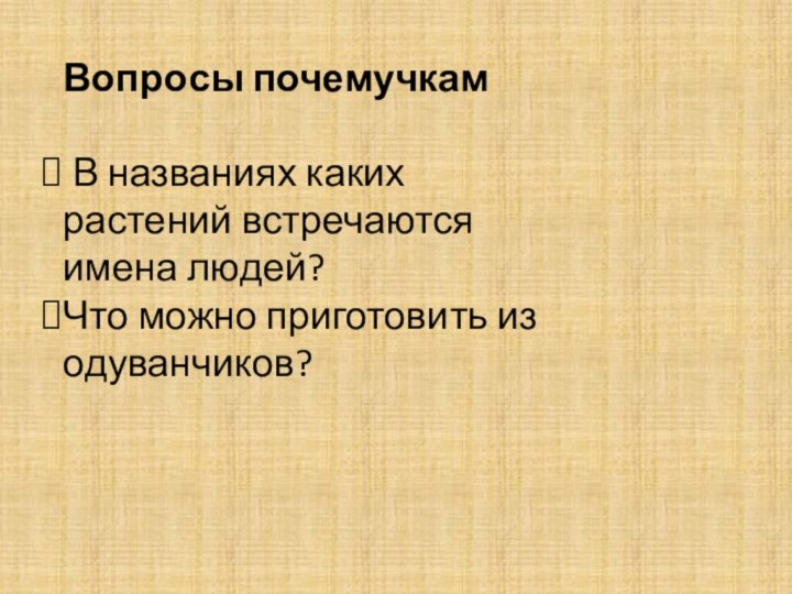 Вопросы почемучкам В названиях каких растений встречаются имена людей?Что можно приготовить из одуванчиков?