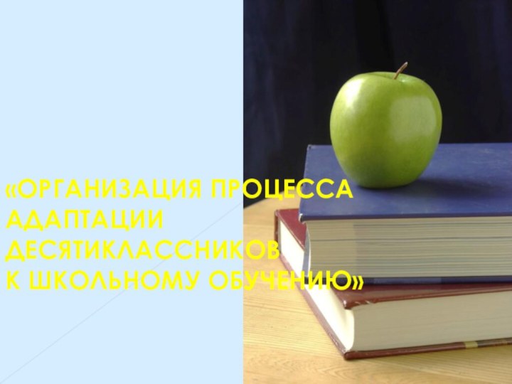 «ОРГАНИЗАЦИЯ ПРОЦЕССА АДАПТАЦИИ ДЕСЯТИКЛАССНИКОВ К ШКОЛЬНОМУ ОБУЧЕНИЮ»