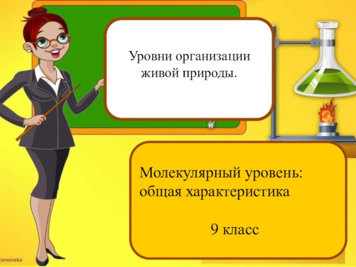 Уровни организации живой природы. Молекулярный уровень: общая характеристика				9 класс