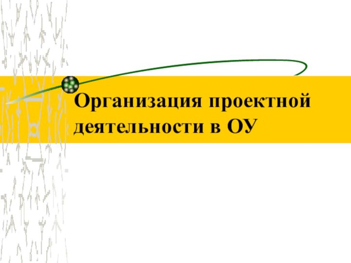 Организация проектной деятельности в ОУ