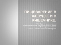 Презентация по биологии Пищеварение в желудке и кишечнике