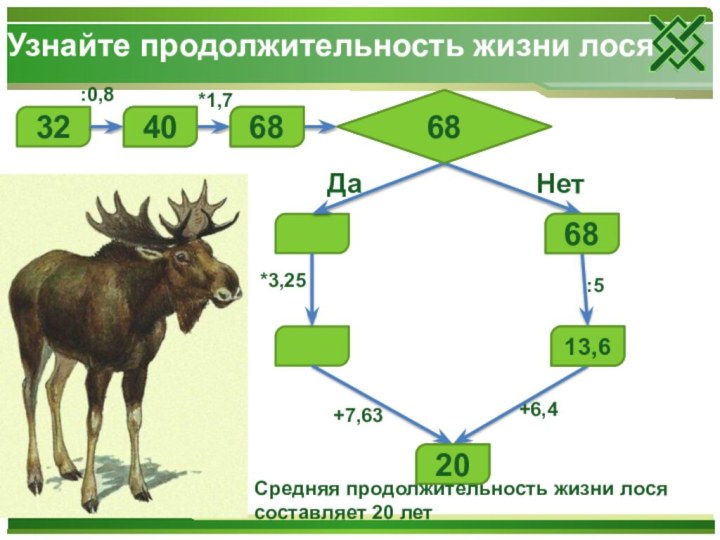 Узнайте продолжительность жизни лося32Нечетное числоДаНет68:0,868*1,740*3,25+7,63:5+6,46813,620Средняя продолжительность жизни лося составляет 20 лет