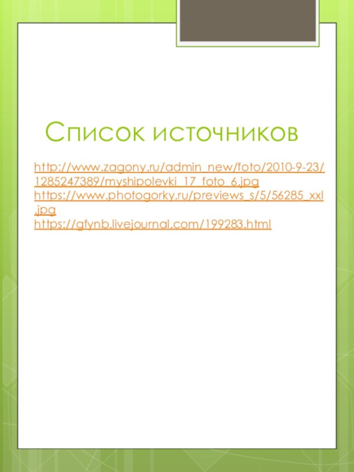 Список источниковhttp://www.zagony.ru/admin_new/foto/2010-9-23/1285247389/myshipolevki_17_foto_6.jpghttps://www.photogorky.ru/previews_s/5/56285_xxl.jpghttps://gfynb.livejournal.com/199283.html