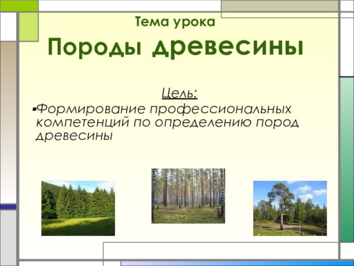 Тема урока Породы древесиныЦель: Формирование профессиональных компетенций по определению пород древесины