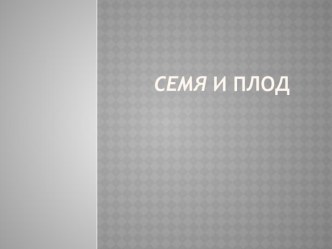 Презентация по ботанике на тему Семя, плод