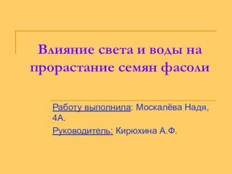 Проект Влияние света и воды на прорастание семян фасоли