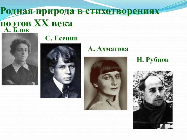 Родная природа в стихотворениях поэтов XX векаА. БлокС. ЕсенинА. АхматоваН. Рубцов