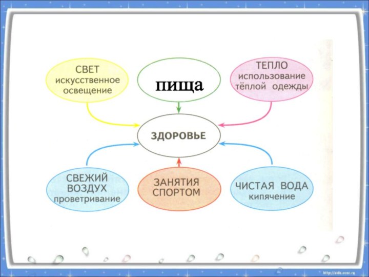 пища