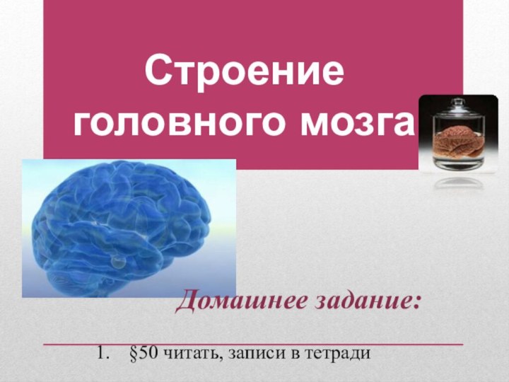 Строение головного мозгаДомашнее задание:§50 читать, записи в тетради