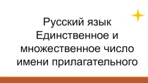 Русский язык Единственное и множественное число имени прилагательного