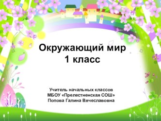 Презентация по окружающему миру Жизнь птиц 1 класс