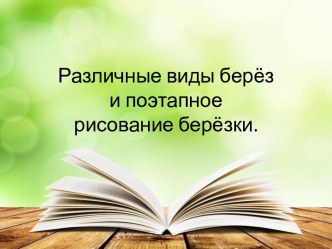 Различные виды берёз и поэтапное рисование берёзки.