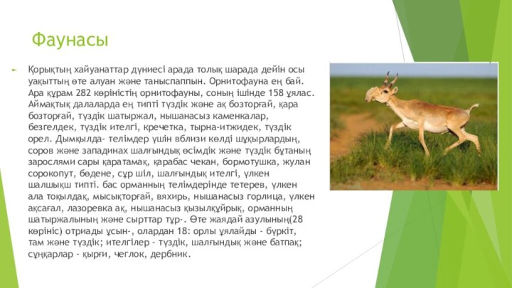 Фаунасы Қорықтың хайуанаттар дүниесі арада толық шарада дейін осы уақыттың өте алуан