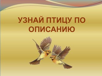 Презентация для разновозрастного занятия Птицы