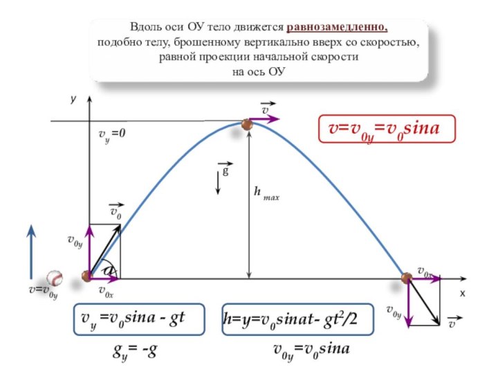 h maxyxavvv=v0yv0yv0yv0xv0xvy =0v0Вдоль оси ОУ тело движется равнозамедленно,подобно телу, брошенному вертикально вверх