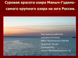 Проект- презентация по экологии на тему Озеро Маныч-Гудило Ростовской области