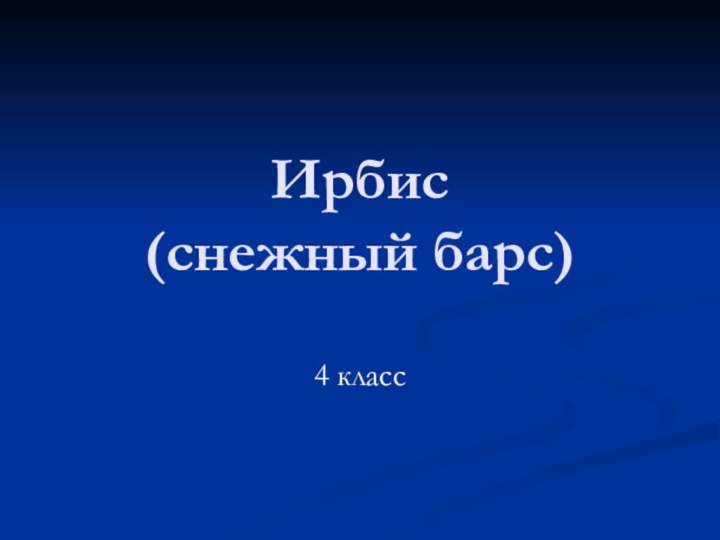 Ирбис  (снежный барс)4 класс