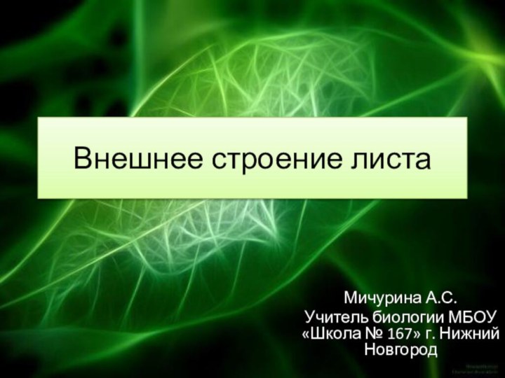 Внешнее строение листаМичурина А.С. Учитель биологии МБОУ «Школа № 167» г. Нижний Новгород