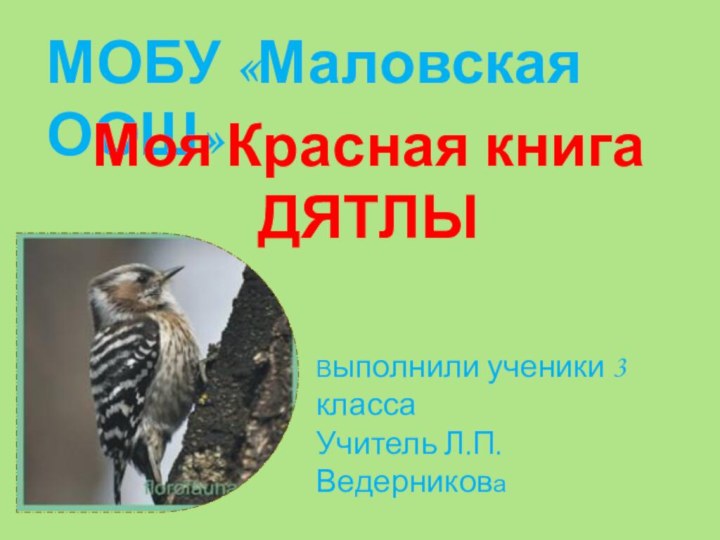 МОБУ «Маловская ООШ»Моя Красная книгаДЯТЛЫВыполнили ученики 3 классаУчитель Л.П.Ведерникова