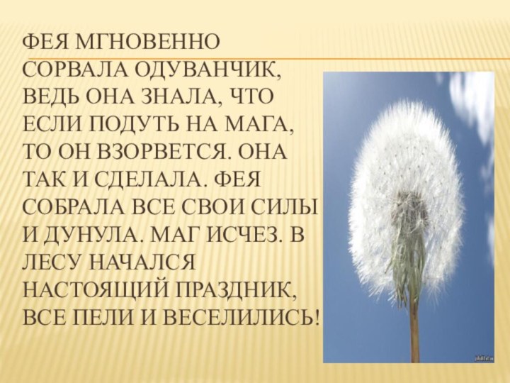 Фея мгновенно сорвала одуванчик, ведь она знала, что если подуть на Мага,