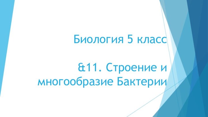 Биология 5 класс  &11. Строение и многообразие Бактерии