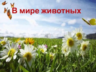 Презентация В мире животных