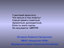 Презентация по биологии Строение цветка