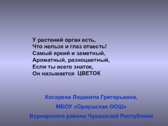 Презентация по биологии Строение цветка