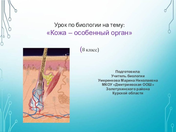 Урок по биологии на тему: «Кожа – особенный орган»  (8 класс)Подготовила:Учитель