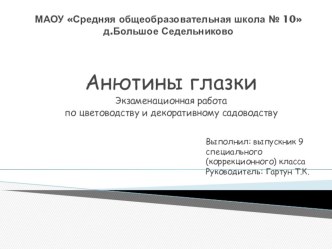 Экзаменационная работа по цветоводству и декоративному садоводству Анютины глазки