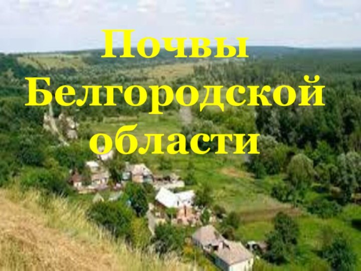 Почвы Белгородской области