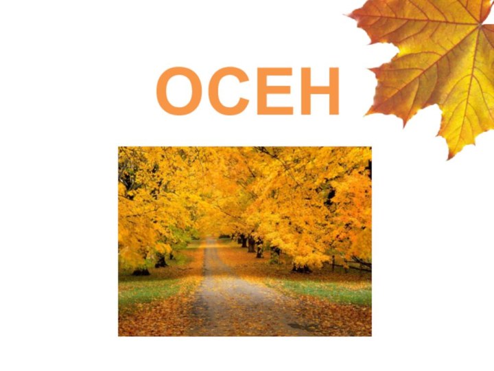 ОСЕНЬ