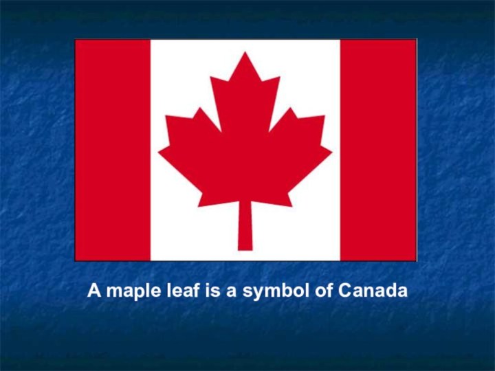 A maple leaf is a symbol of Canada