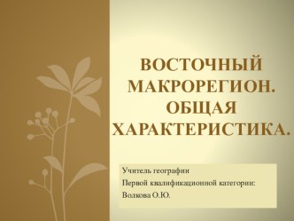 Презентация по географии на тему Восточный макрорегион. Общая характеристика