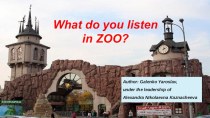 Презентация к проекту по теме What do you listen in the Zoo