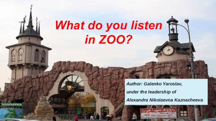 What do you listen  in ZOO?Author: Galenko Yaroslav,under the leadership of