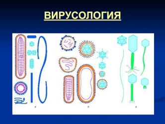 Презентация Вирусология (Медицинский колледж)