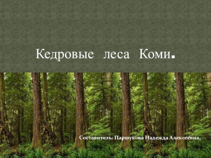 Кедровые леса Коми.Составитель: Паршукова Надежда Алексеевна,