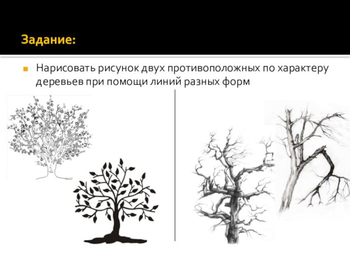 Задание: Нарисовать рисунок двух противоположных по характеру деревьев при помощи линий разных форм