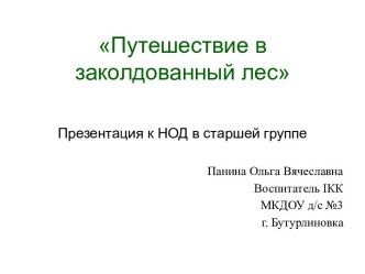 Презентация к занятию по развитию речи Путешествие в заколдованный лес