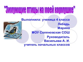 Презентация Зимующие птицы на моей кормушке