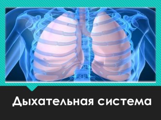 Презентация по биологии 8 класс Дыхательная система