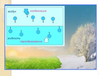 Презентация по физике 8 класс на тему Влажность воздуха