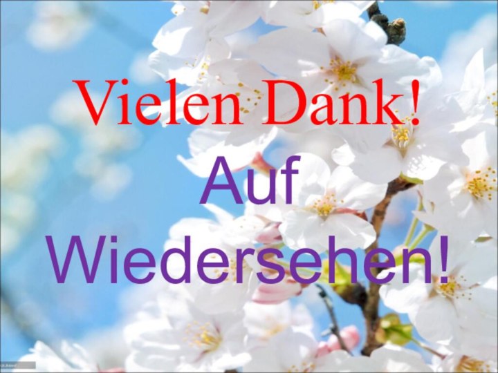 Vielen Dank!Auf Wiedersehen!