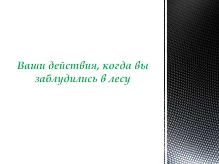 Ваши действия, когда вы заблудились в лесу