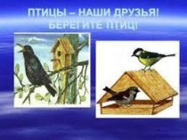 Презентация по окружающему миру Берегите птиц
