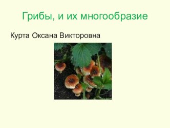 Презентация по биологии на тему Разнообразие грибов (5 класс)