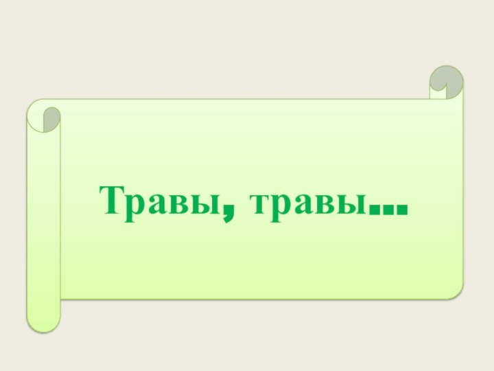 Травы, травы…